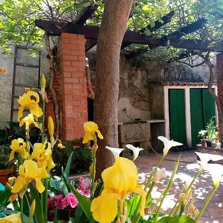 Δωμάτια σε οικογενειακή κατοικία Nossa Casa Na Aldeia *