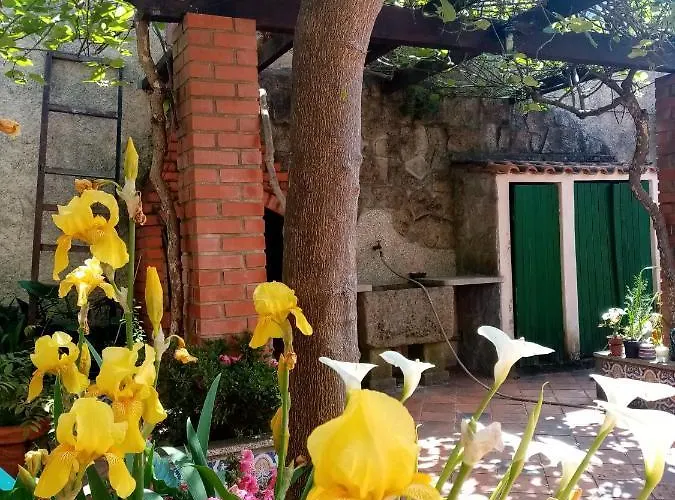 Pansiyon Nossa Casa Na Aldeia *